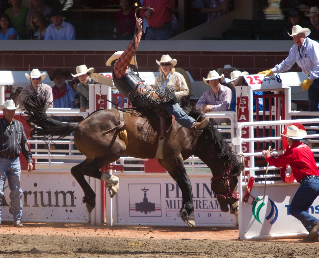 Calgary Stampede-1404.jpg